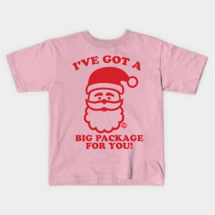 SANTA BIG PACKAGE Kids T-Shirt